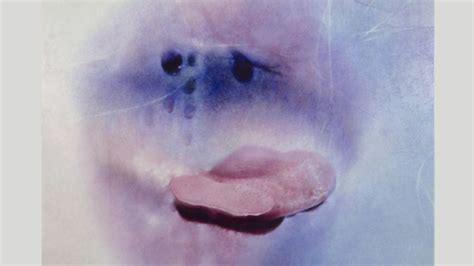 granny strip pics|Sex positivity after 70: Marilyn Minter’s sensual photographs of ...